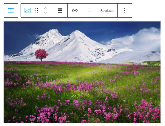 image Gutenberg block
