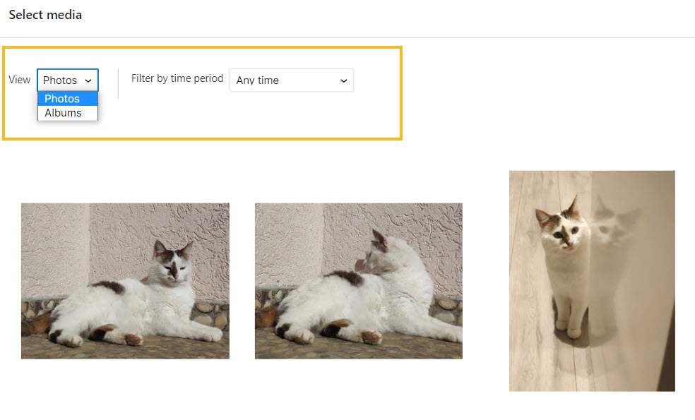 Google Photos filtering options