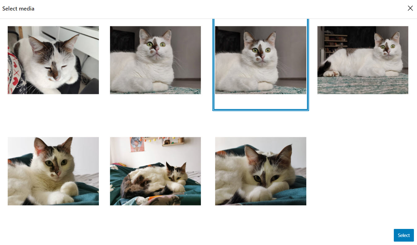 Select images from Google Photos