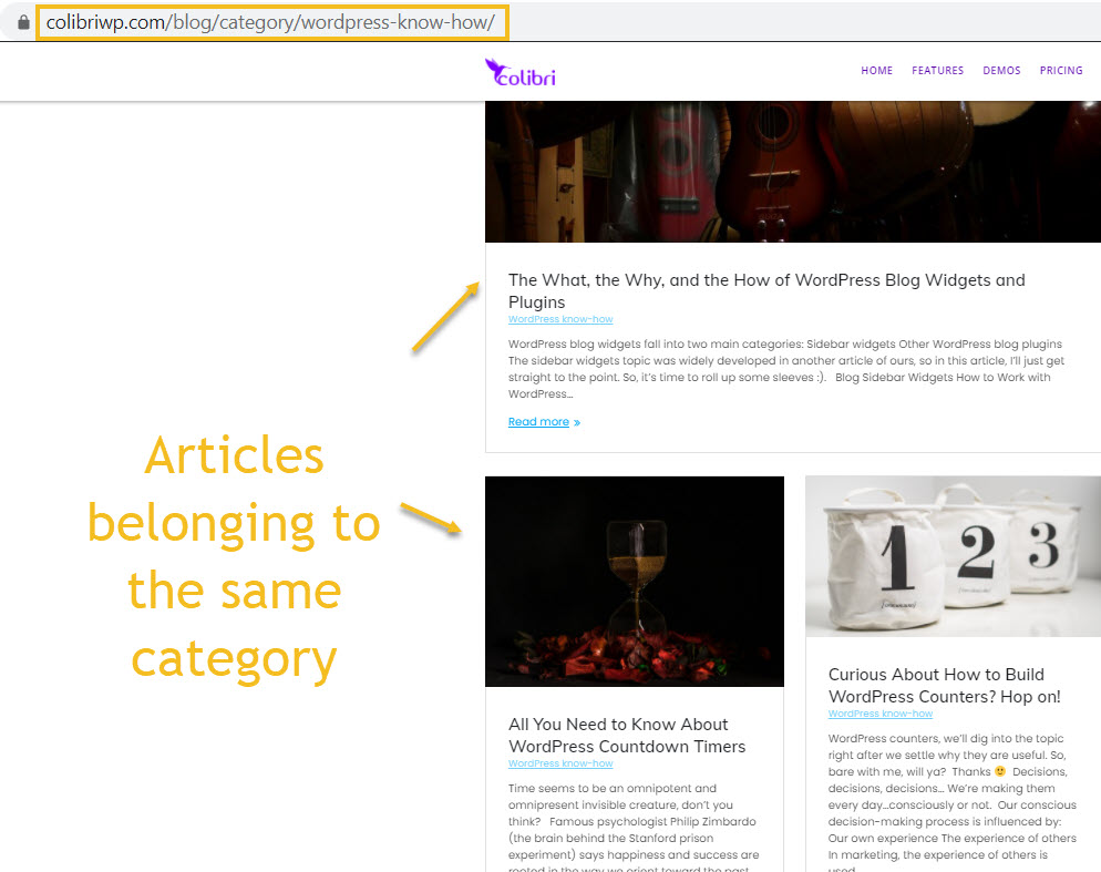 articles in the same WordPress category