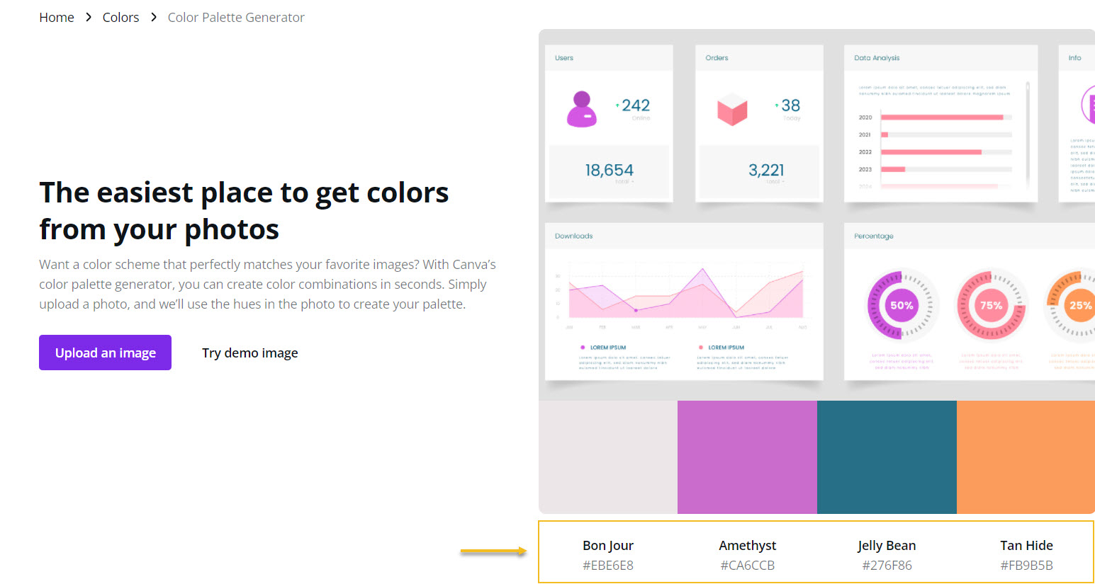 Color palette with Canva