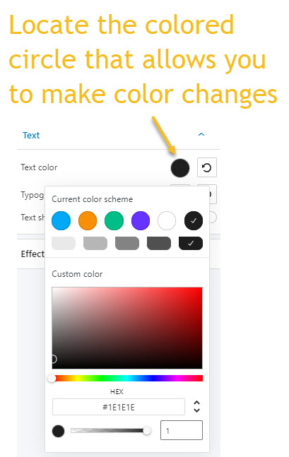 The colored circle allows you to make color changes to text, buttons, borders, backgrounds, and more