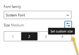 Set custom font size