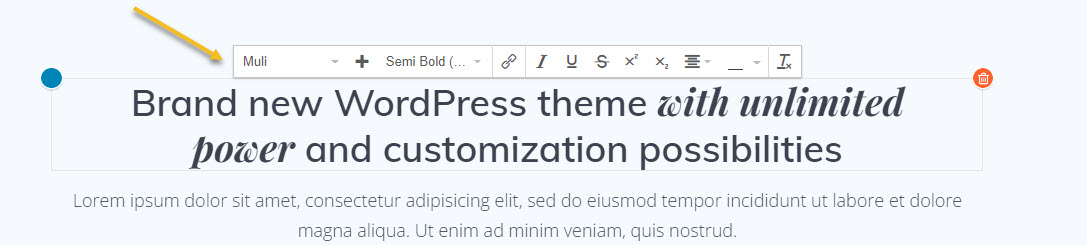 toolbar for typography editing using the Mesmerize theme and the Customizer