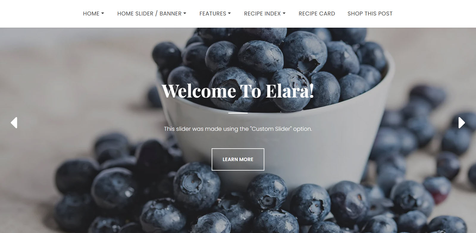 Elara food blog theme