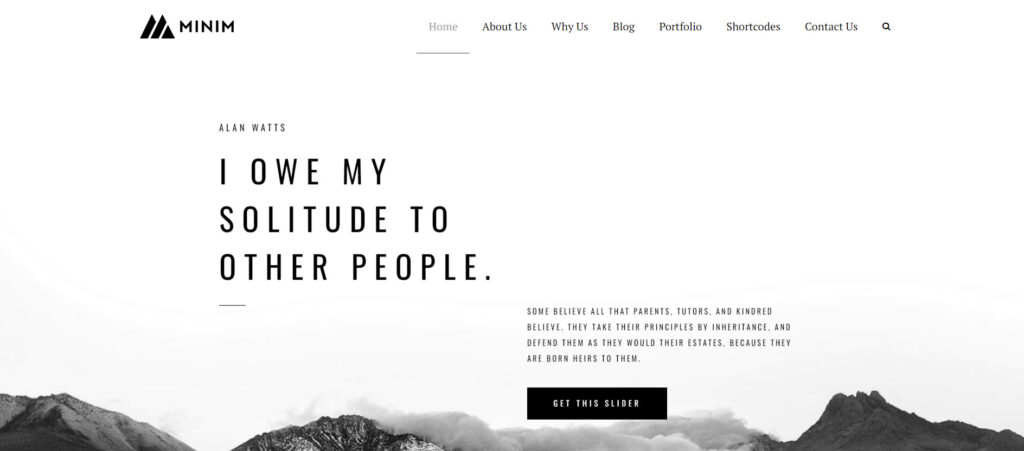 Minim WordPress theme