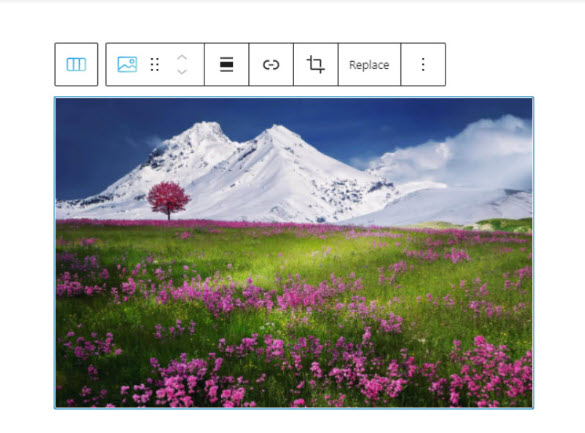 kubio image editing toolbar 