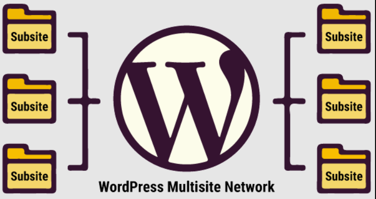 what is a wordpress multisite