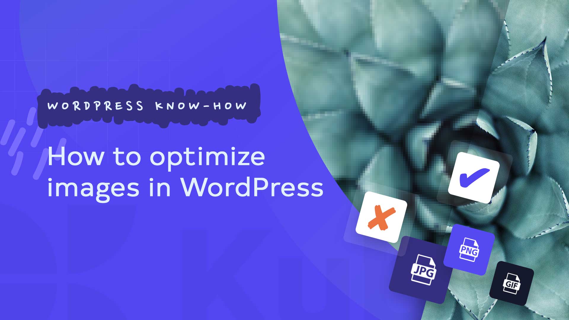 how to optimize images in wordpress